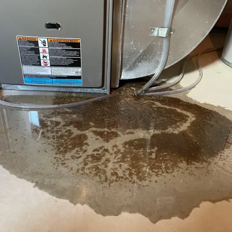 Appliance Leak Cleanup in West Jefferson, NC